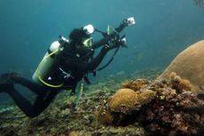 Ekpedisi Terumbu Karang Taman Nasional Teluk Cenderawasih Dimulai