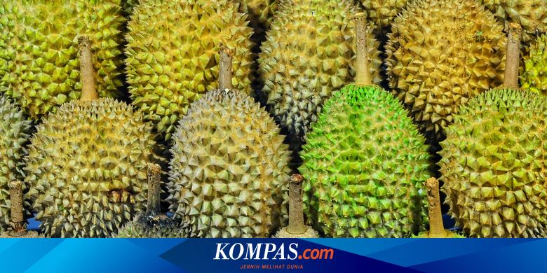 Mengapa Buah Berubah Warna Saat Matang?
