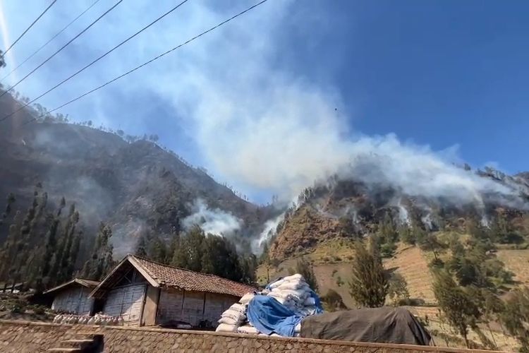 Update Karhutla Bromo, Tersisa Satu Titik Api di Bukit Kedaluh