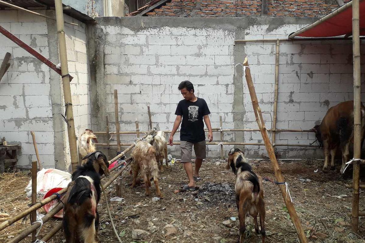 Salah satu mahasiswa yang berjualan hewan qurban di Pasar Slipi, Jakarta Barat, Fauzan saat ditemui pada Kamis (8/8/2019)