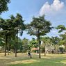 Taman Bambu di Jakarta Timur, Asyik buat Nongkrong Bareng Teman