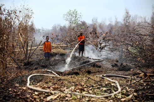 Karhutla Ancam Flora Endemik di Sumatera dan Kalimantan