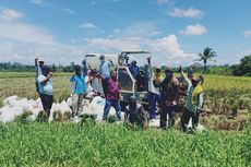 Dengan Alsintan, Petani Nabire Bisa Panen Raya di Tengah Pandemi