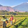 5 Aktivitas Seru di Sembalun, Lombok Usai Main Paralayang