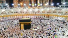 Arab Saudi Bekukan 21 Perusahaan Umrah, Kementerian Haji Temukan Pelanggaran dan Kinerja Buruk