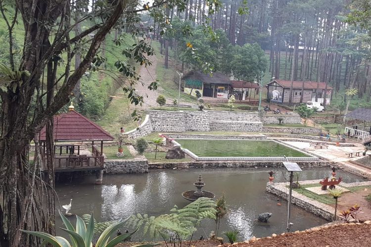 Wisata alam Sirah Pemali di Brebes, yaitu wisata mata air di tengah hutan pinus yang dilengkapi dengan beragam wahana dan fasilitas. 
