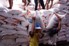 Jokowi Sebut Tak Ada Impor Beras Hingga Juni, Buwas: Kami Utamakan Produksi Petani