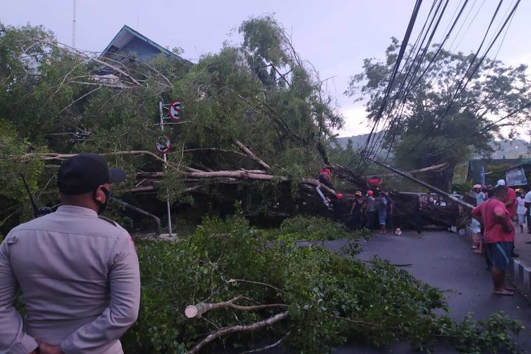 Sebuah pohon beringin berukuran besar yang berada di jalan dr Latumeten Ambon tumbang dan menutup badan jalan di kawasan tersebut, Sabtu (27/2/2021)