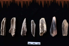 Bone Culture: Pengertian dan Hasil Kebudayaan