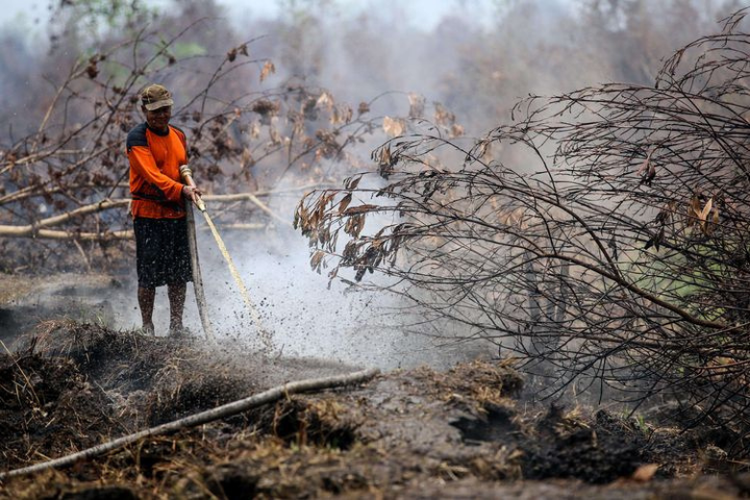 Warga melakukan pemadaman kebakaran lahan gambut di desa Ganepo, Kabupaten Kotawaringin Timur, Kalimantan Tengah. 