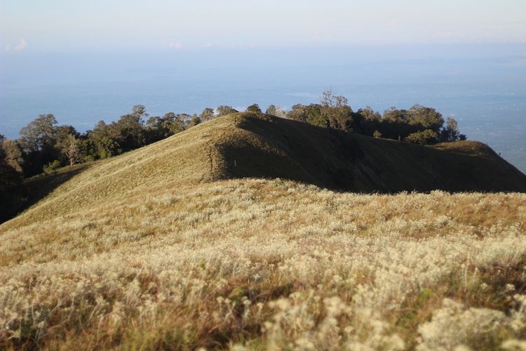 Bukit Sempana, puncak pemandangan bukit Telettubies.