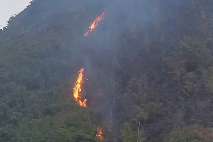 Kebakaran Lereng Gunung Singa Bandung,  Jadi Pengingat Ancaman Karhutla saat Kemarau
