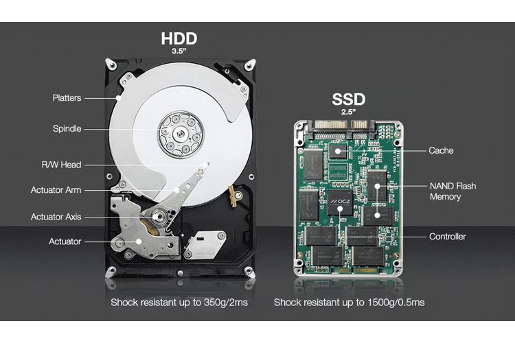 Isi jeroan HDD dan SSD secara umum.