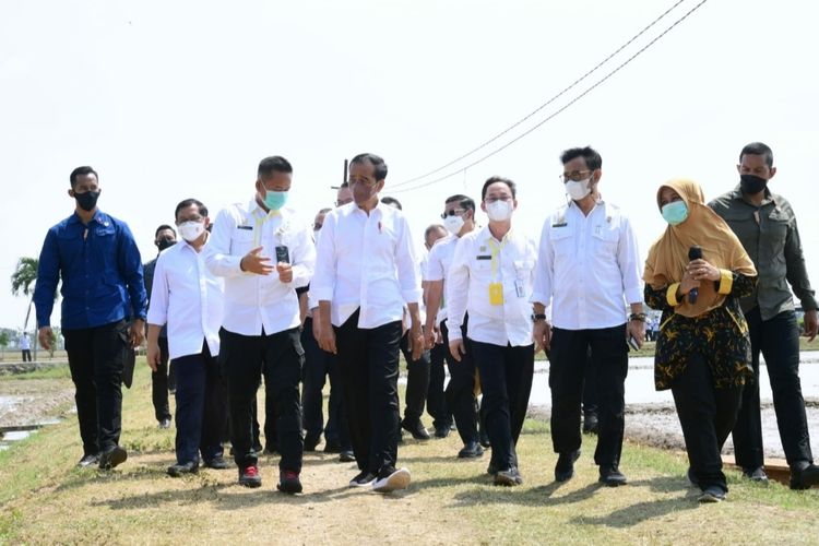 Presiden Joko Widodo saat meninjau langsung Balai Besar Penelitian Tanaman Padi (BBPadi) di Kabupaten Subang, Provinsi Jawa Barat, pada Selasa (12/7/2022).