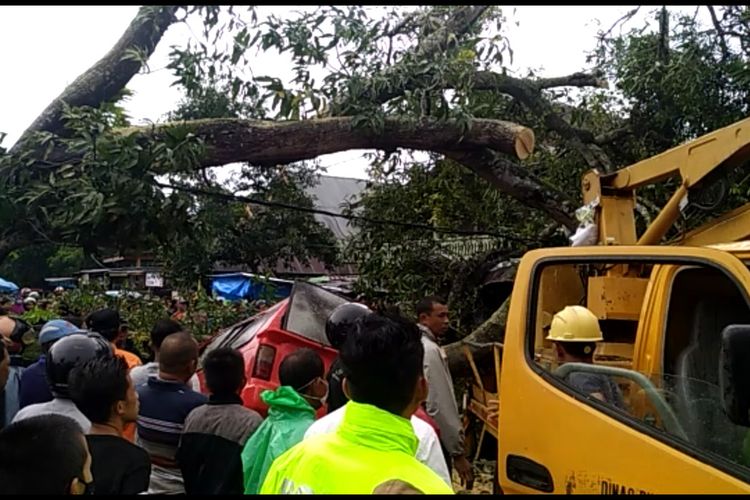Sejumlah petugas dibantu warga di Kabupaten Takalar, Sulawesi Selatan berusaha mengevakuasi seorang sopir angkot yang tewas terjepit kendaraannya yang ringsek ditimpa pohon mangga. Rabu, (10/3/2021).