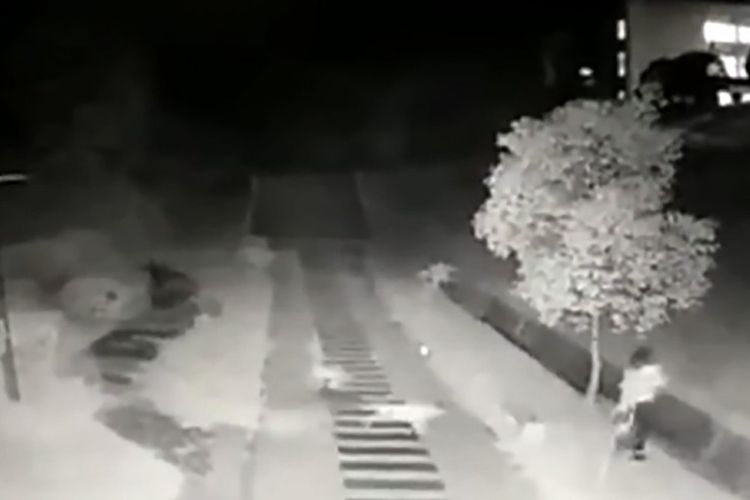 Tangkapan layar rekaman penyerangan anjing liar di sebuah kampus di China. Tampak seorang siswi tampak berusaha melarikan diri dari kejaran kawanan anjing liar.