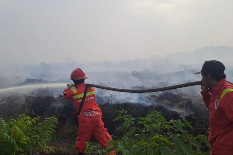 Tim Manggala Agni Kewalahan Padamkan Api Karhutla di Rokan Hilir karena Asap Tebal