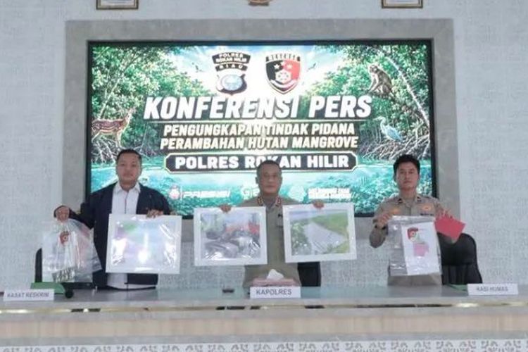 3 Hektare Hutan Mangrove Riau Dirambah, Tersangka Ditangkap Polisi, Ekskavator Disita
