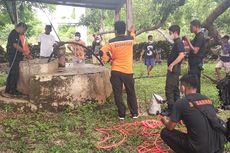 Gara-gara Kambing Jatuh ke Sumur, Warga Desa di NTT Tak Bisa Konsumsi Air Bersih