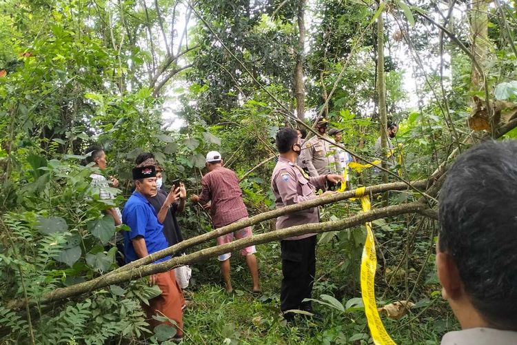 Warga Lingkungan Pesanggrahan, Kecamatan Walantaka, Kota Serang, Banten digegerkan penemuan kerangka manusia di semak semak lahan perkebunan.