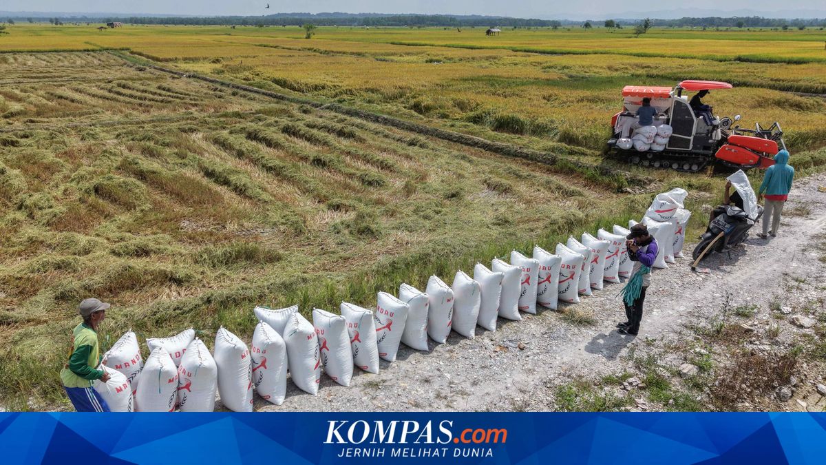Fatamorgana Harga Pangan: Inflasi Rendah, Ketahanan Produksi Melemah