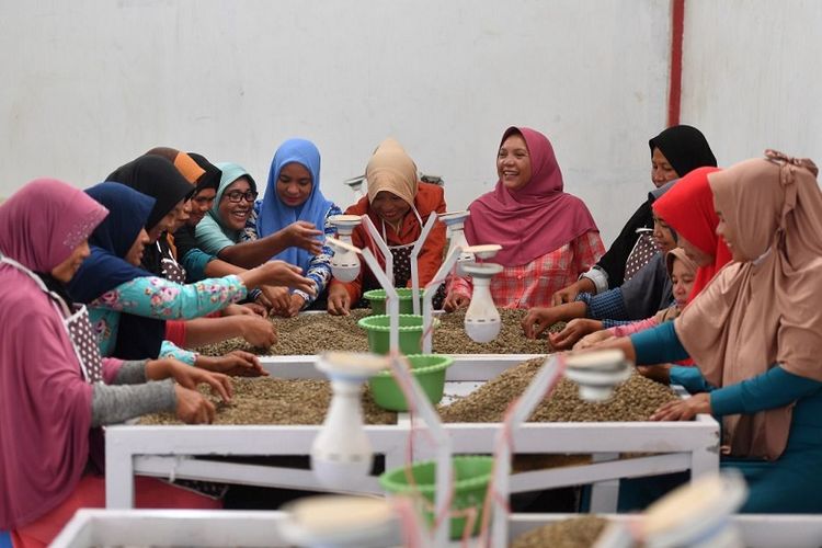 Koperasi Pedagang Kopi Ketiara asal Aceh berhasil mengekspor produk kopi Gayo hingga menembus pasar mancanegara.