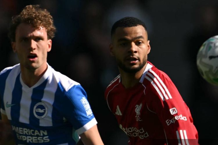 Kata-kata Arne Slot Usai Skor Brighton Vs Liverpool 2-1