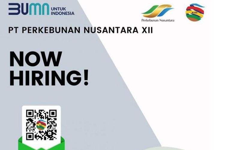 BUMN Perkebunan Buka Lowongan Minimal D4, Simak Posisi dan Persyaratannya 