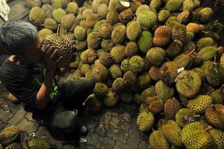 Seorang pekerja memilih durian untuk pelanggan di kedai Ucok Durian, Medan, Minggu (9/12/2012). Kedai Ucok Durian menjadi tujuan kuliner para pelancong saat ke Medan.