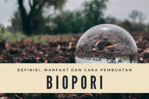 Biopori: Definisi, Manfaat dan Cara Pembuatan