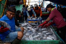 Nelayan Tolak Harga Patokan Ikan, KKP: Kami Tak Mungkin Memanipulasi HPI