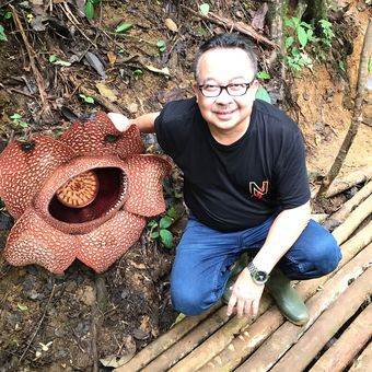 Rhenald Kasali bersama dengan bunga Rafflesia arnoldii tengah mekar di tengah hutan Bengkulu
