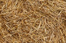 Bahlil Pastikan Listrik di Aceh Menyala Malam Ini, Pemulihan Capai 97 Persen