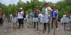 Dukung Upaya Mitigasi Perubahan Iklim, Pertamina Rehabilitasi Mangrove di NTT