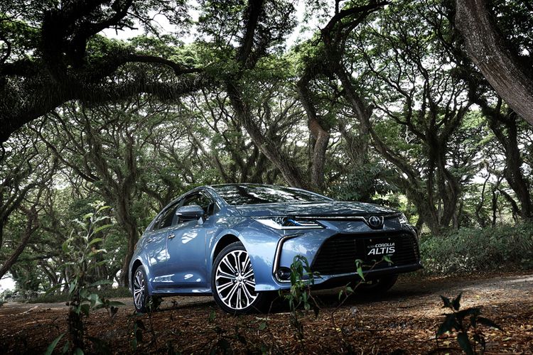 Tes drive beragam model hybrid andalan Toyota, mampir ke hutan wisata dejawatan, berisi pohon trembisi berusia ratusan tahun di Banyuwangi, Jatim.