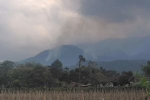 Kebakaran Hutan Gunung Lawu Meluas, Empat Titik Sulit Dipadamkan