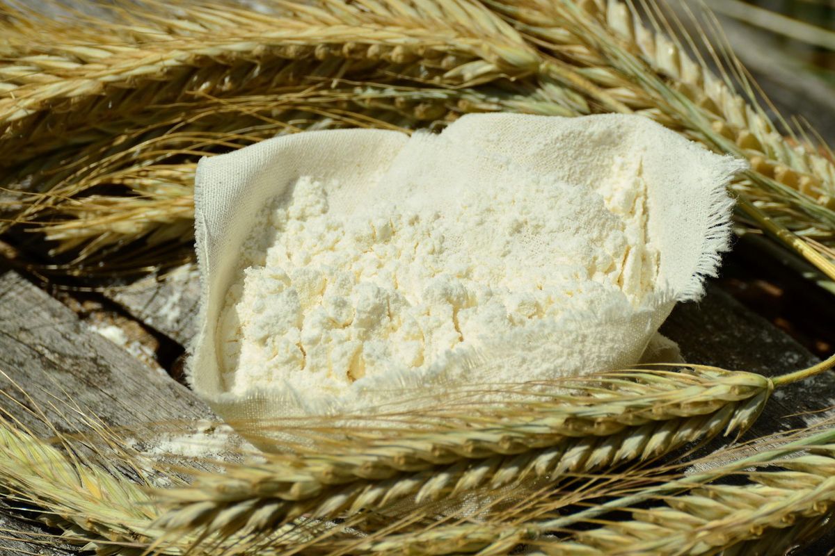 Tepung gandum adalah contoh bahan pangan setengah jadi yang berasal dari gandum