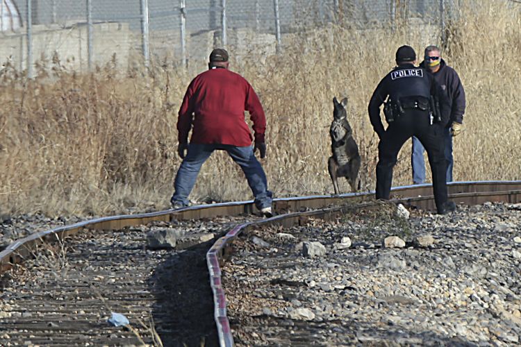 Petugas Polisi Peru dan sukarelawan lainnya tampak membantu menangkap Wally si Wallaroo di rel kereta di belakang Maze Lumber, Rabu, 2 Desember 2020, di Peru, Illinois, Amerika Serikat (AS).