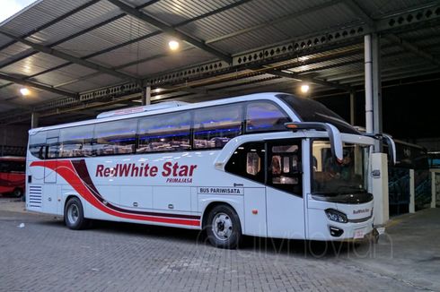 Bahas Bus Custom Milik PO RedWhite Star Primajasa