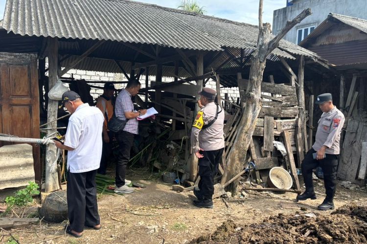 Aksi Pencurian Sapi Teror Warga Tuban Jelang Idul Adha, 6 Ekor Sapi Hilang dalam 2 Hari