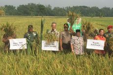 Dialog dengan Petani, Ganjar Temukan Raskin Dijual Kembali