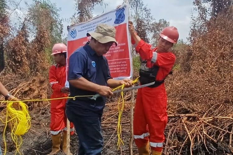 454 Hektare Lahan Terbakar, KLH Segel Konsesi PT BHP di OKI Sumsel