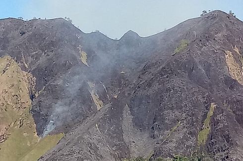 Musim Kemarau, 100 Hektar Sabana di Kawasan Gunung Rinjani Terbakar