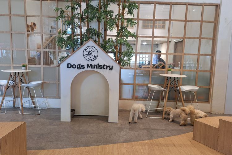 Kesal Tanpa Alasan Jelas, Motif Mahasiswa Lampiaskan Amarahnya pada Anjing di Kafe Hewan