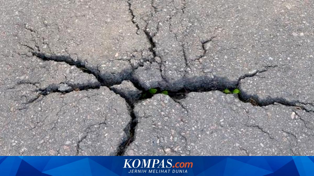Gempa M4,7 Guncang Nagekeo NTT, BMKG: Dipicu Aktivitas Sesar Aktif
