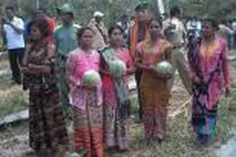 Sejumlah petani perempuan asal Kabupaten Timor Tengah Selatan (TTS) sedang panen buah semangka tanpa biji