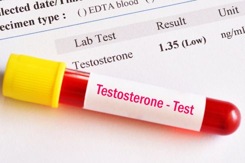 Fungsi Hormon Testosteron pada Pria dan Wanita