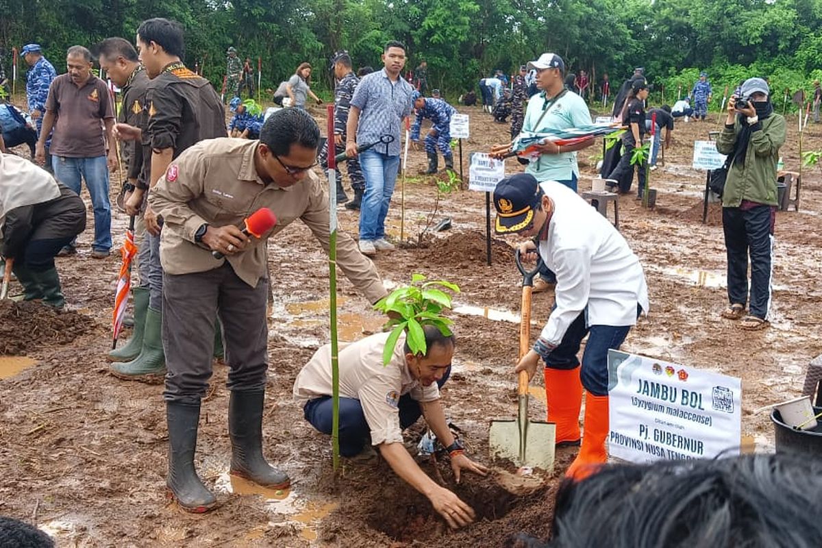 Kementerian Lingkungan Hidup dan Kehutanan (KLHK) bersama Tentara Nasional Indonesia (TNI) menanam ratusan anakan tanaman produktif di Kawasan Area 48 milik Pangkalan Udara (Lanud) El Tari Kupang, Nusa Tenggara Timur (NTT), Minggu (14/1/2024).