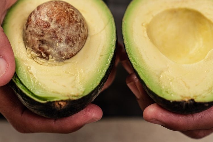 Ilustrasi alpukat, buah alpukat. 