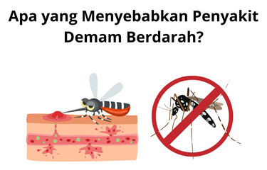 Penyakit Demam Berdarah Dengue atau DBD adalah penyakit yang perlu diperhatikan.